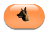 Malinois nouveau ! Malinois nouveau !