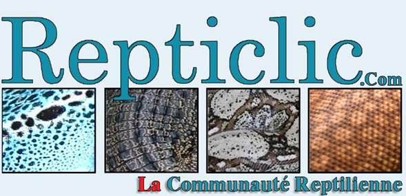 Forum Reptiles Repticlic ''LA'' communauté Reptilienne