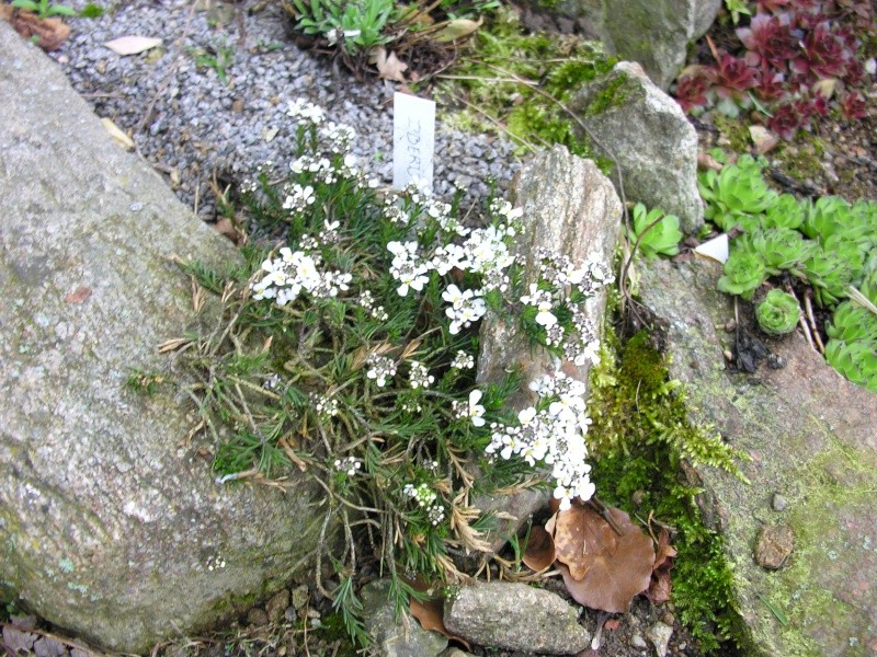 Image hébergée par servimg.com