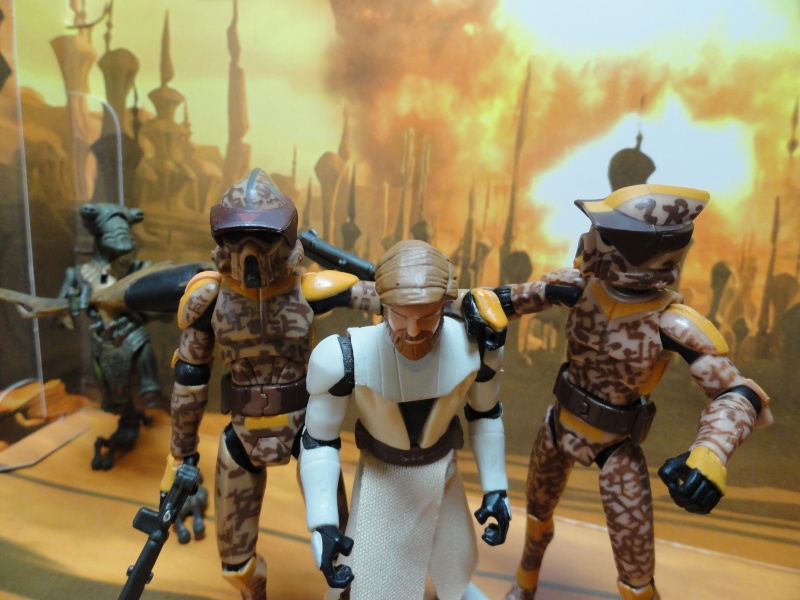 geonosis arf trooper