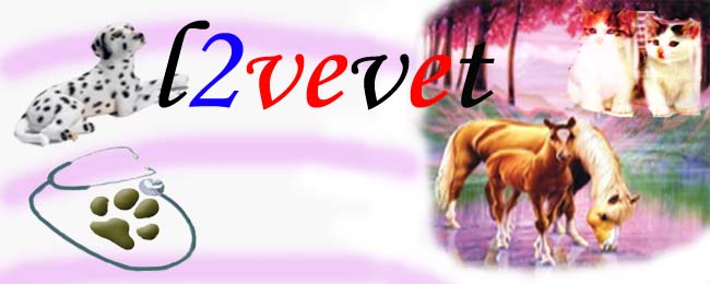 l2vevet