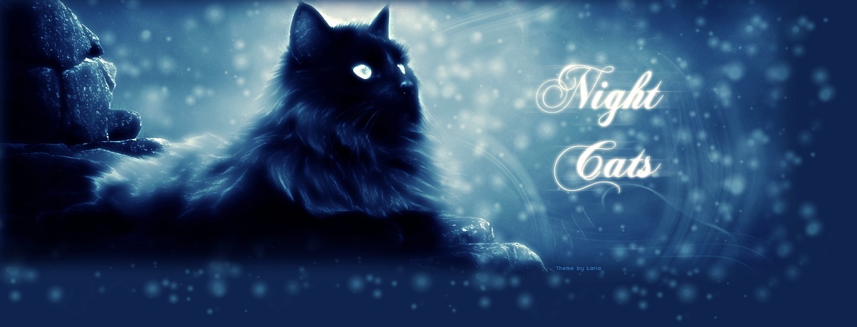Night Cats