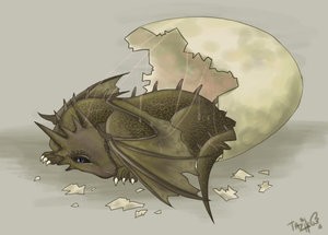 dragon11.jpg
