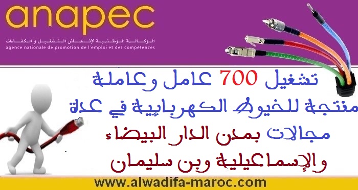 الوكالة الوطنية لإنعاش التشغيل والكفاءات: تشغيل 700 عامل وعاملة منتجة للخيوط الكهربائية في عدة مجالات بمدن الدار البيضاء والإسماعيلية وبن سليمان