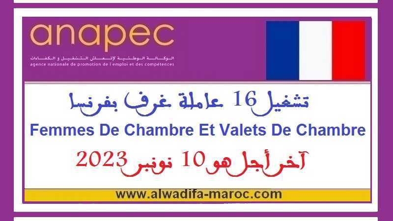 الأنابيك سكيلز: تشغيل 16 عاملة غرف بفرنسا Femmes De Chambre Et Valets De Chambre، آخر أجل هو 10 نونبر 2023