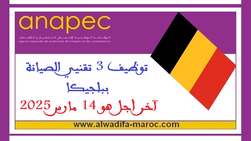 الأنابيك - سكيلز: توظيف 3 تقنيي الصيانة ببلجيكا، آخر أجل هو 14 مارس 2025