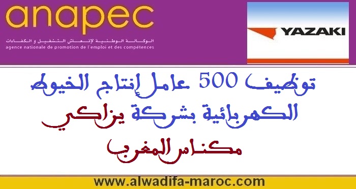 الوكالة الوطنية لإنعاش التشغيل والكفاءات: توظيف 500 عامل إنتاج الخيوط الكهربائية بشركة يزاكي مكناس المغرب
