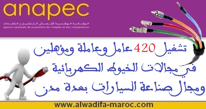 الوكالة الوطنية لإنعاش التشغيل والكفاءات: تشغيل 420 عامل وعاملة ومؤهلين في مجالات الخيوط الكهربائية ومجال صناعة السيارات بعدة مدن