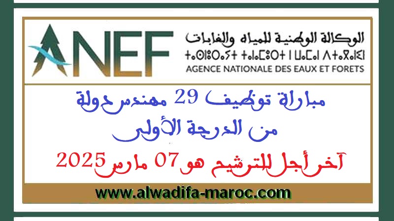 الوكالة الوطنية للمياه والغابات: مباراة توظيف 29 مهندس دولة من الدرجة الأولى. آخر أجل للترشيح هو 07 مارس 2025