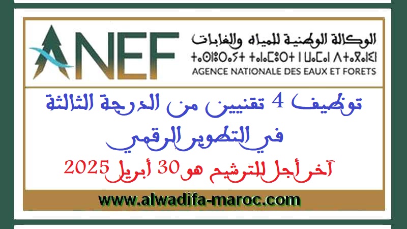 الوكالة الوطنية للمياه والغابات: مباراة توظيف 04 تقنيين من الدرجة الثالثة في التطوير الرقمي. آخر أجل للترشيح هو 30 أبريل 2025