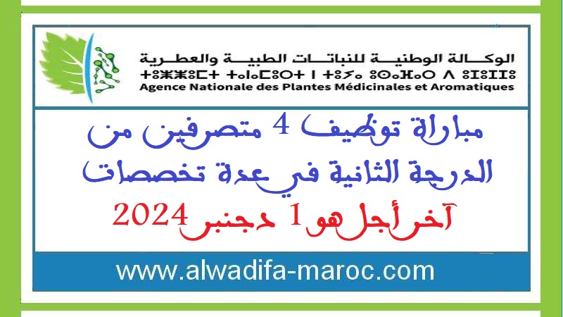 الوكالة الوطنية للنباتات الطبية والعطرية: مباراة توظيف 4 متصرفين من الدرجة الثانية في عدة تخصصات. آخر أجل هو 1 دجنبر 2024