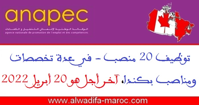 الأنابيك سكيلز: توظيف 20 منصب - في عدة تخصصات ومناصب بكندا، آخر أجل هو 20 أبريل 2022