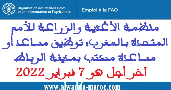 منظمة الأغذية والزراعة للأمم المتحدة بالمغرب: توظيف مساعد أو مساعدة مكتب بمدينة الرباط. آخر أجل هو 7 فبراير 2022 